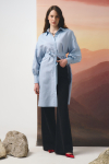 Вишита сукня-сорочка з льону - интернет-магазин Natali Bolgar